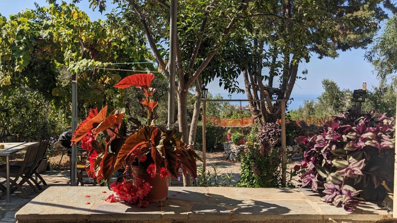 4 Seasons 2 Neokhorion (Messenia)